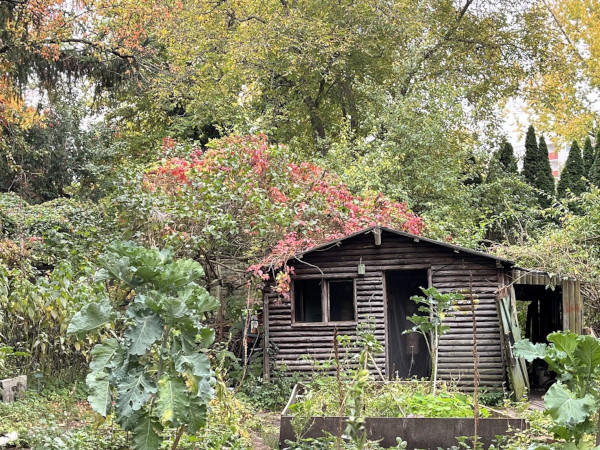 cafe botanico Blockholz-Hütte in einem Naturgarten