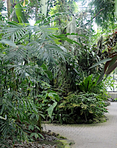 botanischer garten jena 1