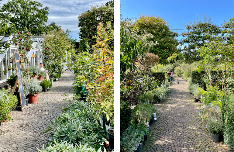 koenigliche gartenakademie 1a