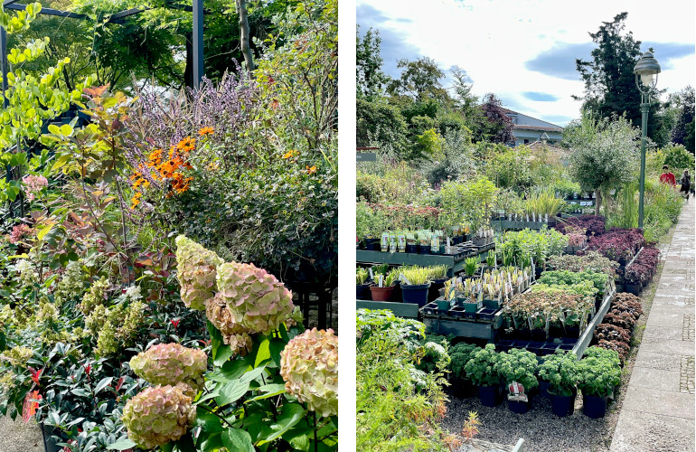 koenigliche gartenakademie 2a