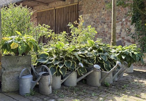 Garten Jörg Diebel