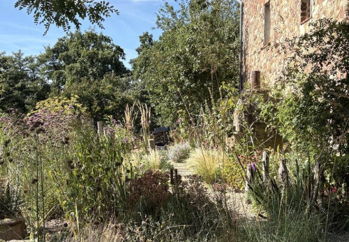 Garten Jörg Diebel, Blick in den Kiesgarten