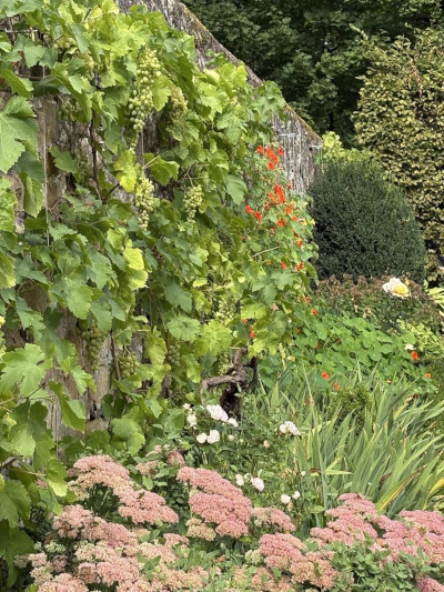 Klostergarten TagungsKloster Frauenberg, Fulda