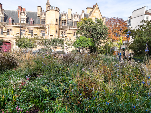 Clunymuseum paris 2025 4