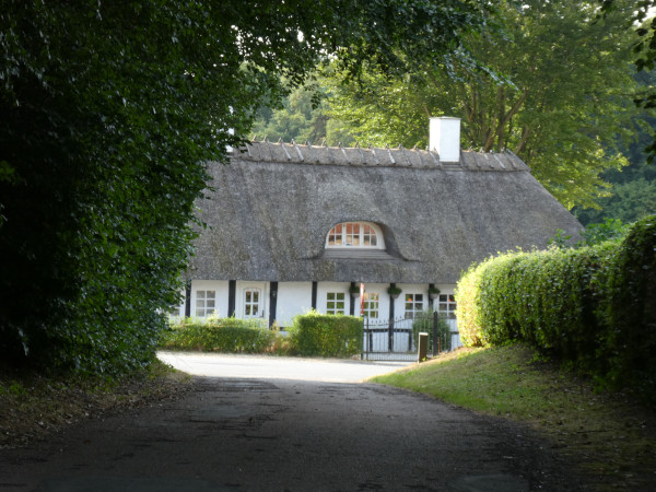 Historischen dänisches, weissgetünchtes Bauernhaus mit Reetdach im Hintergrund, Blick durch Knick und Hecken 