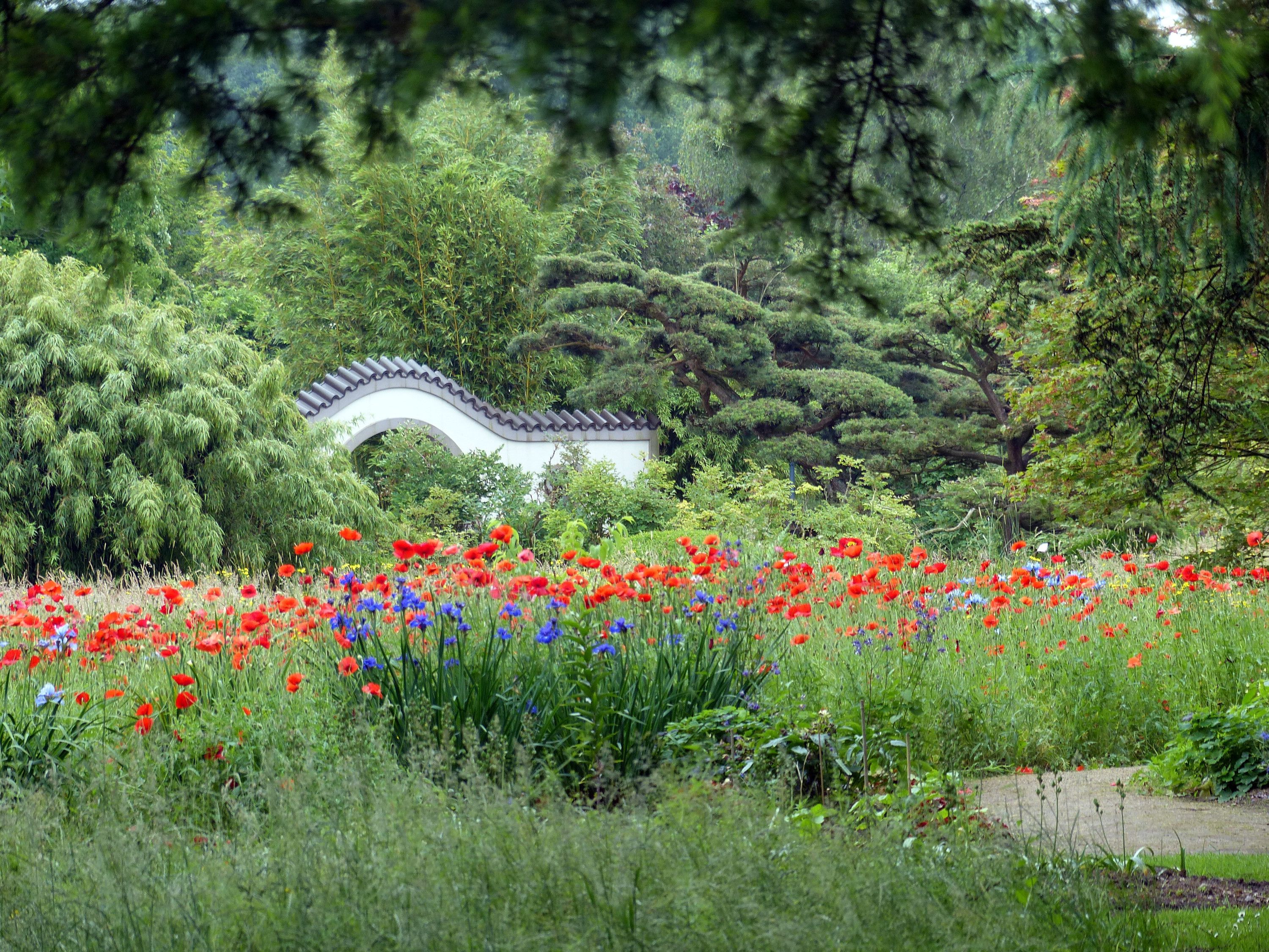 Arboretum Ellerhoop